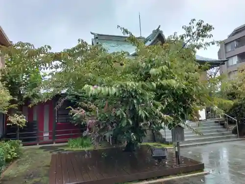 桜神宮(東京都)