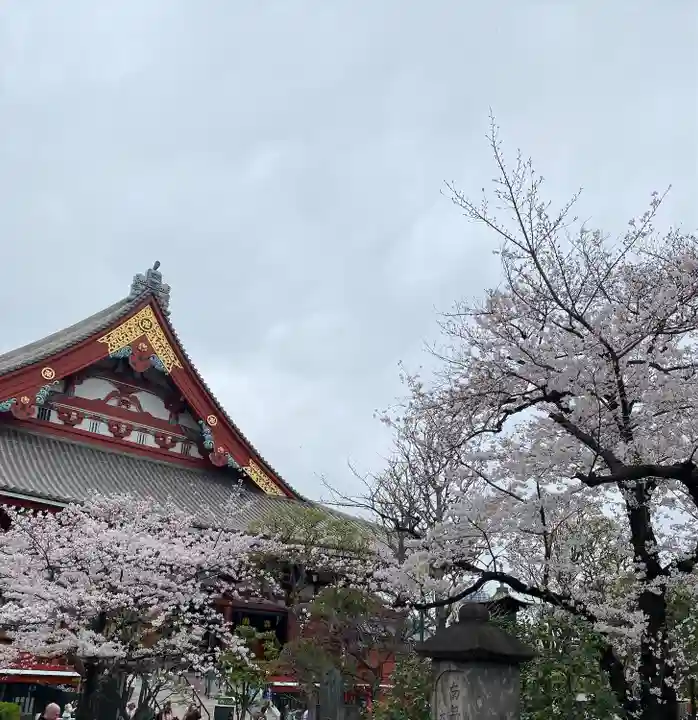 浅草寺(東京都)