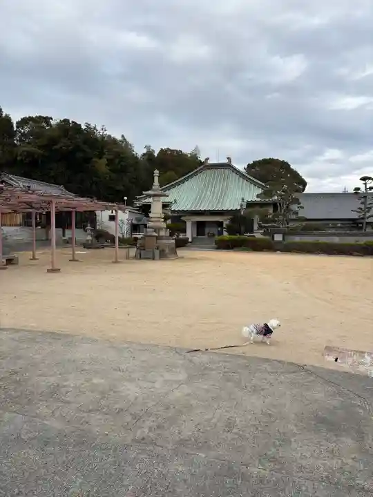 遍照寺(兵庫県)