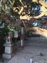 豊藤稲荷神社の建物その他