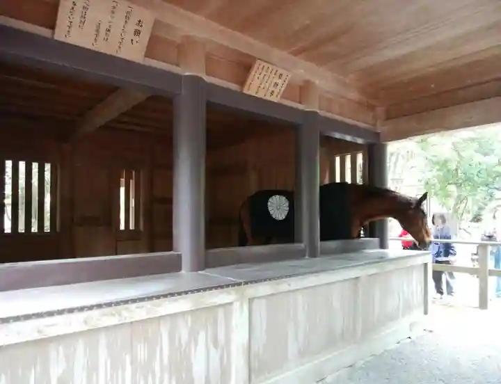 伊勢神宮内宮(皇大神宮)(三重県)