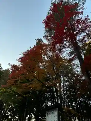 諏訪大社下社秋宮(長野県)