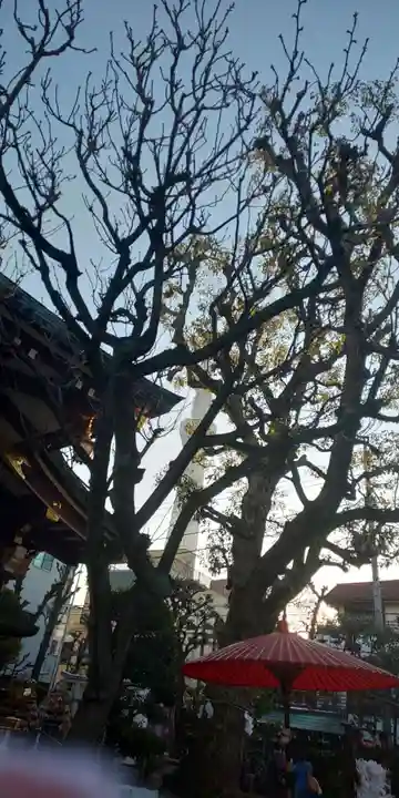 高木神社のその他建物