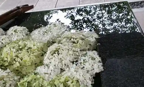 熊野神社の手水舎