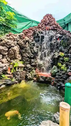 吉原弁財天本宮（吉原神社奥宮）の動物