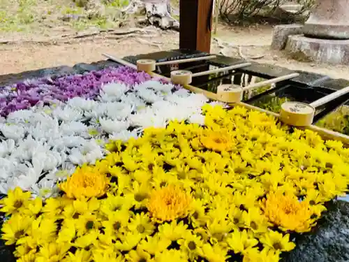 土津神社｜こどもと出世の神さまの手水