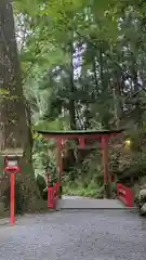 貴船神社奥宮(京都府)