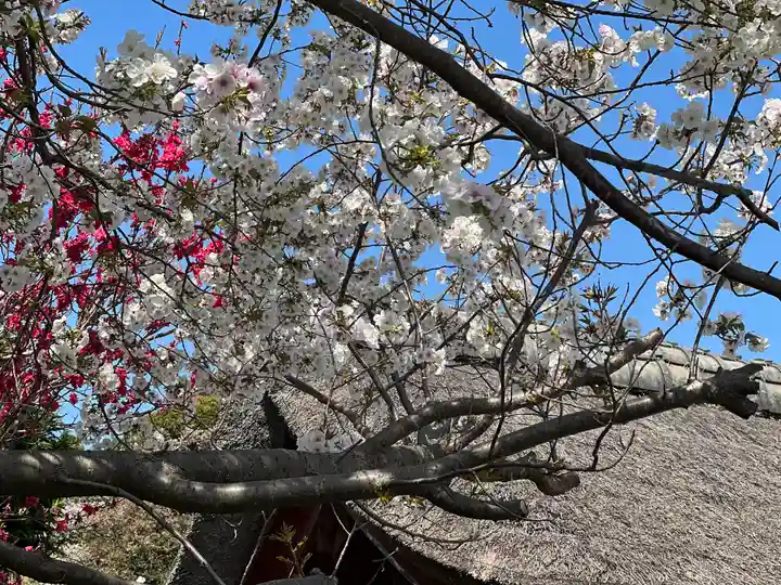 海宝院(神奈川県)