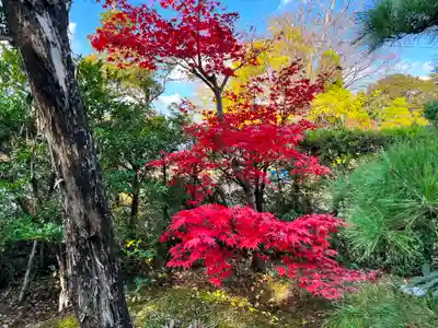 道神社(富山県)