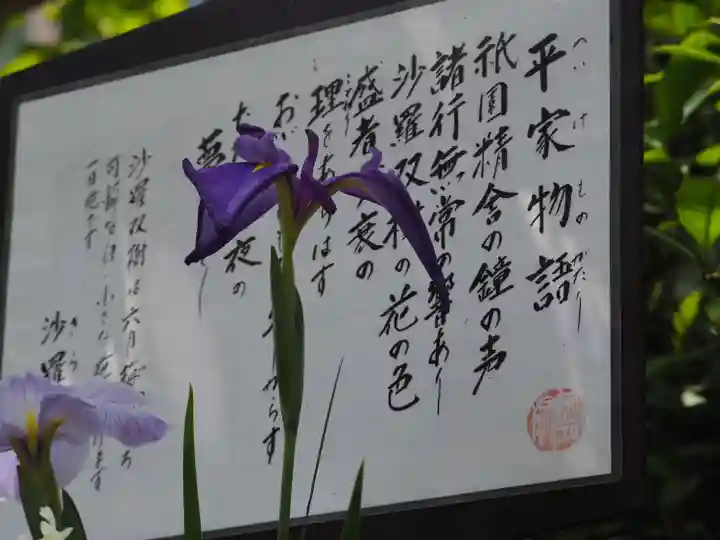 明月院(神奈川県)