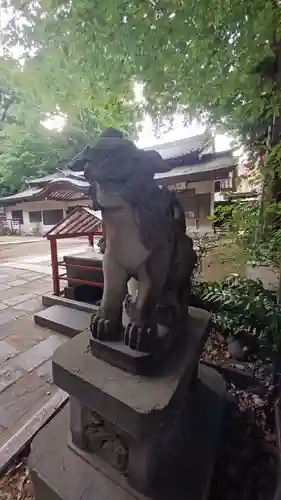 王子稲荷神社の狛犬