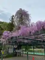 山梨岡神社(山梨県)