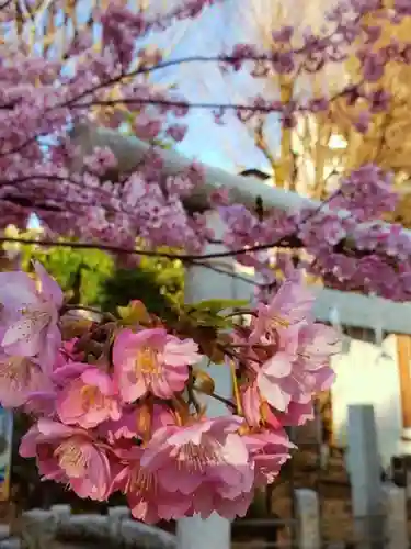 鳩森八幡神社(東京都)