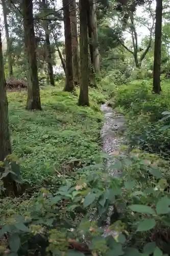 熊野神社の自然