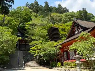 談山神社(奈良県)