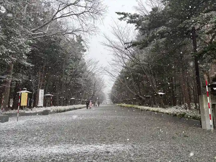 北海道神宮の景色