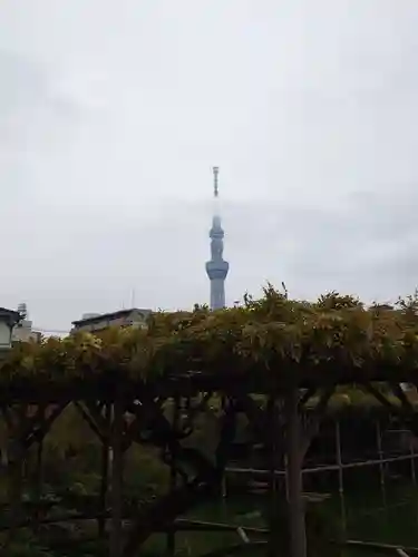亀戸天神社(東京都)