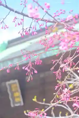 丸子神社　浅間神社(静岡県)