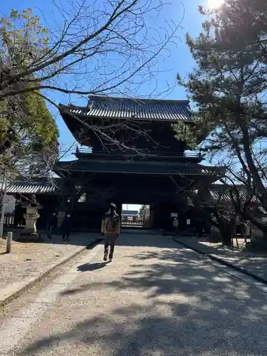 大樹寺（松安院大樹寺）の山門