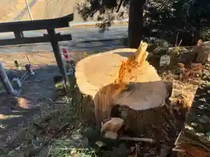 大宮温泉神社(栃木県)(2024年01月07日(日) 08時14分29秒投稿)