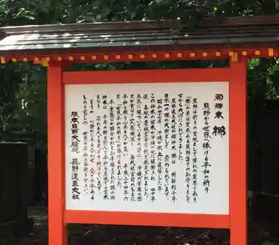 熊野速玉大社(和歌山県)