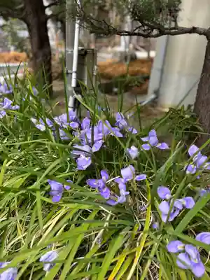 教興寺(兵庫県)