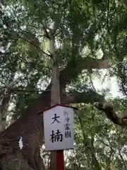 住吉神社の自然
