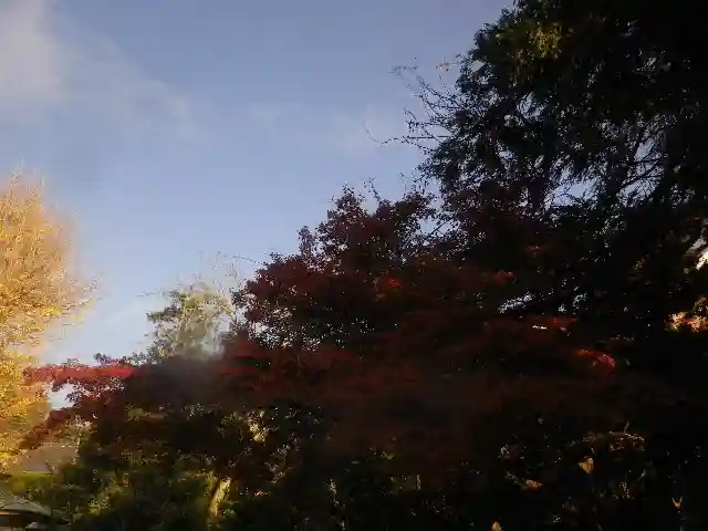 浄光明寺の自然