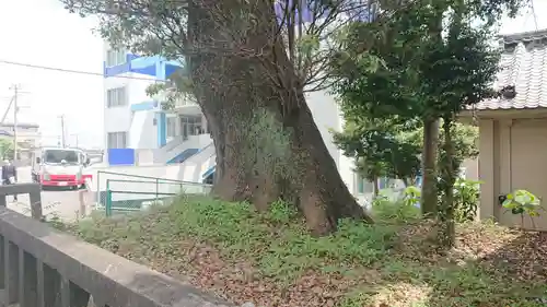 八面神社の自然