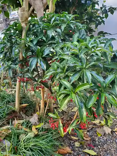 沙沙貴神社(滋賀県)
