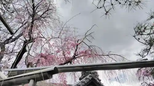 雨宝院のその他建物