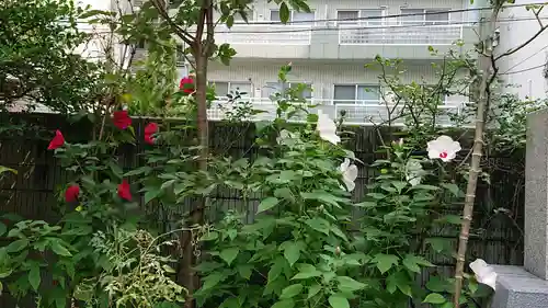 蔵前神社の庭園