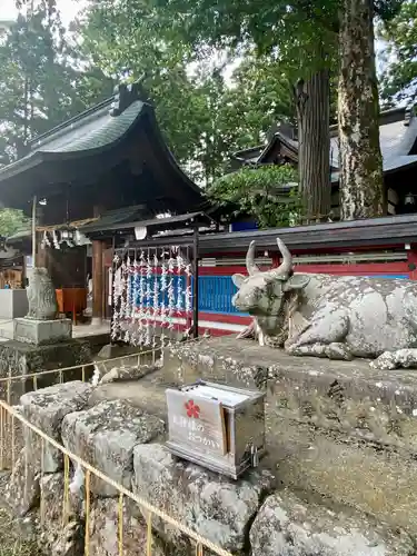 飛驒天満宮(岐阜県)