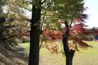 城山八幡神社の自然