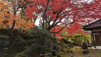 榮攝院（栄摂院）(京都府)