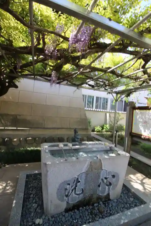 秩父札所十三番 慈眼寺の手水舎