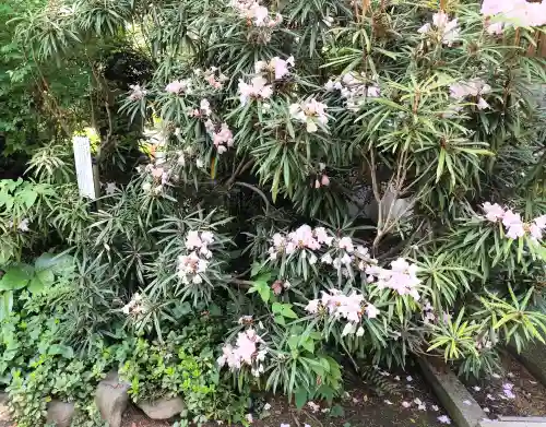 武蔵国分寺の{uncategorized: "未分類", other: "その他", undefined: "問題あり", building: "その他建物", grave: "お墓", sacred_gate: "鳥居", guardian: "狛犬", statue: "像", buddha: "仏像", history: "歴史", nature: "自然", garden: "庭園", animal: "動物", pagoda: "塔", temizu: "手水舎", mountain_gate: "山門・神門", sanctuary: "本殿・本堂", subordinate: "末社・摂社", art: "芸術", scenery: "景色", jizo: "地蔵", ema: "絵馬", goshuin: "御朱印", omikuji: "おみくじ", items: "授与品その他", amulet: "お守り", goshuincho: "御朱印帳", eats: "食事", festival: "お祭り", votive_dance: "神楽", shichigosan: "七五三参", wedding: "結婚式", experience: "体験その他", initially: "初詣", around: "周辺", anti_infection: "感染症対策"}