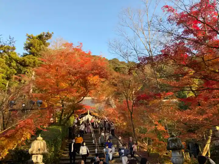 禅林寺(永観堂)の自然