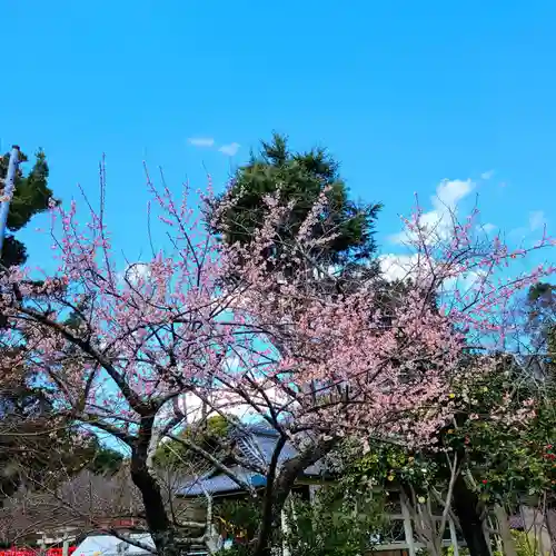 牟呂八幡宮(愛知県)