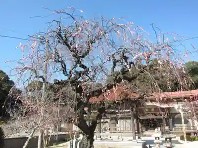 覚天寺(山口県)