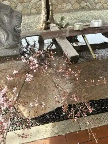 源空院（浅井寺）の{uncategorized: "未分類", other: "その他", undefined: "問題あり", building: "その他建物", grave: "お墓", sacred_gate: "鳥居", guardian: "狛犬", statue: "像", buddha: "仏像", history: "歴史", nature: "自然", garden: "庭園", animal: "動物", pagoda: "塔", temizu: "手水舎", mountain_gate: "山門・神門", sanctuary: "本殿・本堂", subordinate: "末社・摂社", art: "芸術", scenery: "景色", jizo: "地蔵", ema: "絵馬", goshuin: "御朱印", omikuji: "おみくじ", items: "授与品その他", amulet: "お守り", goshuincho: "御朱印帳", eats: "食事", festival: "お祭り", votive_dance: "神楽", shichigosan: "七五三参", wedding: "結婚式", experience: "体験その他", initially: "初詣", around: "周辺", anti_infection: "感染症対策"}