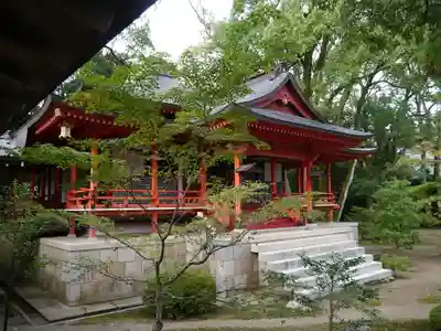 大覚寺の本殿・本堂