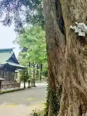 御宝殿熊野神社の庭園