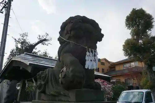 鳩ヶ谷氷川神社の狛犬