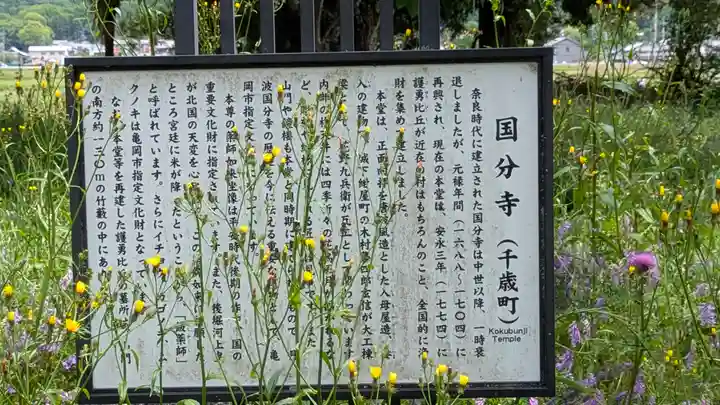 國分寺(国分寺)(京都府)