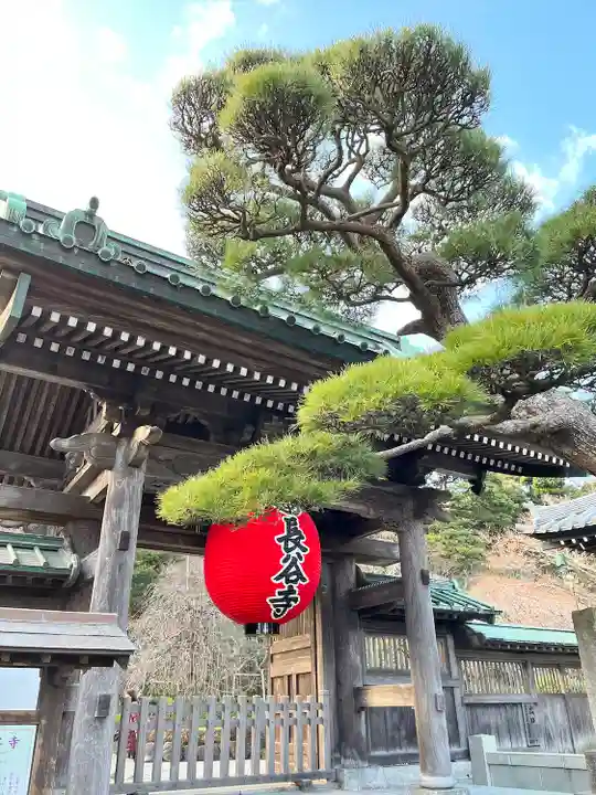 長谷寺の山門・神門