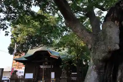 阿邪訶根神社の本殿・本堂