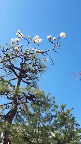 蓮華王院（三十三間堂）(京都府)