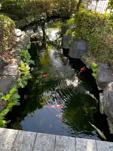 浅草寺(東京都)