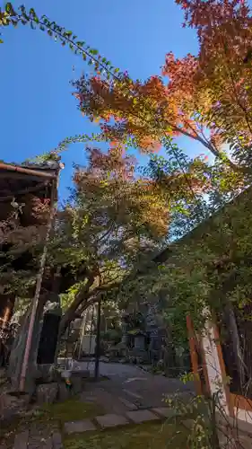 浄土院(京都府)